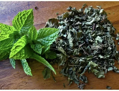 تصویر 3 از نعنا خشک کیلویی با عطر قوی و کیفیت تازه